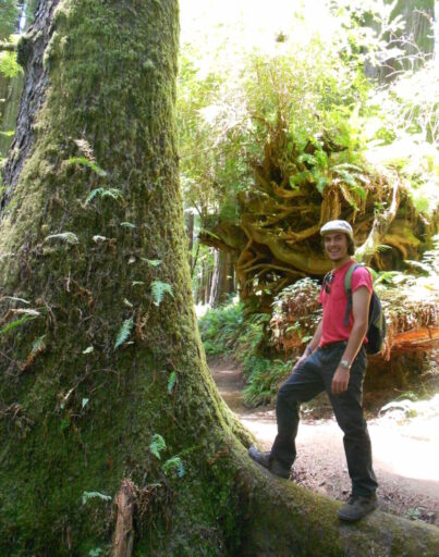 Daniel Krezdorn steht am Fuß eines Mammutbaums