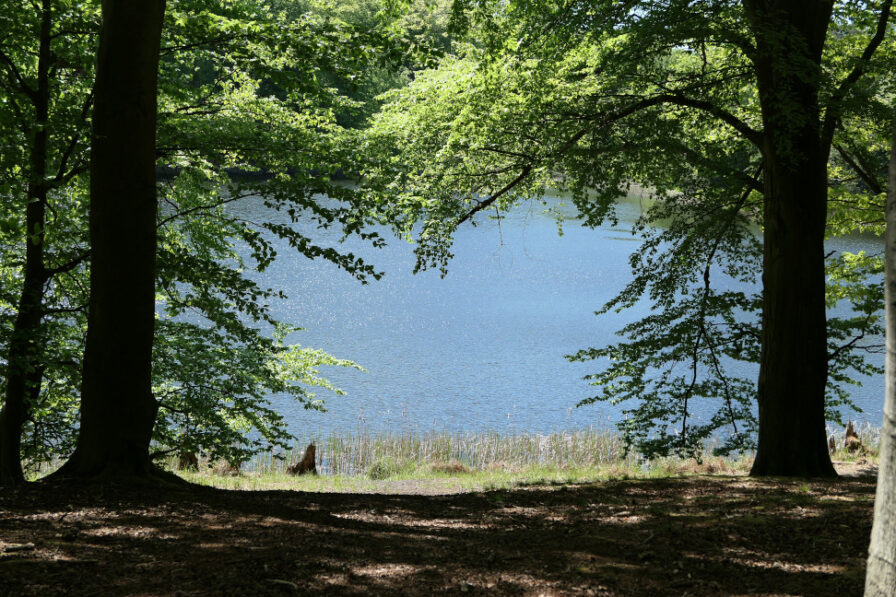 Blick auf den Wolletzer See