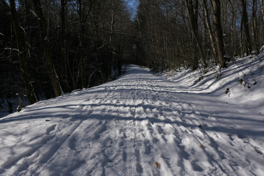 Verschneite Waldwege im Ebersberger Forst laden zum Langlaufen ein