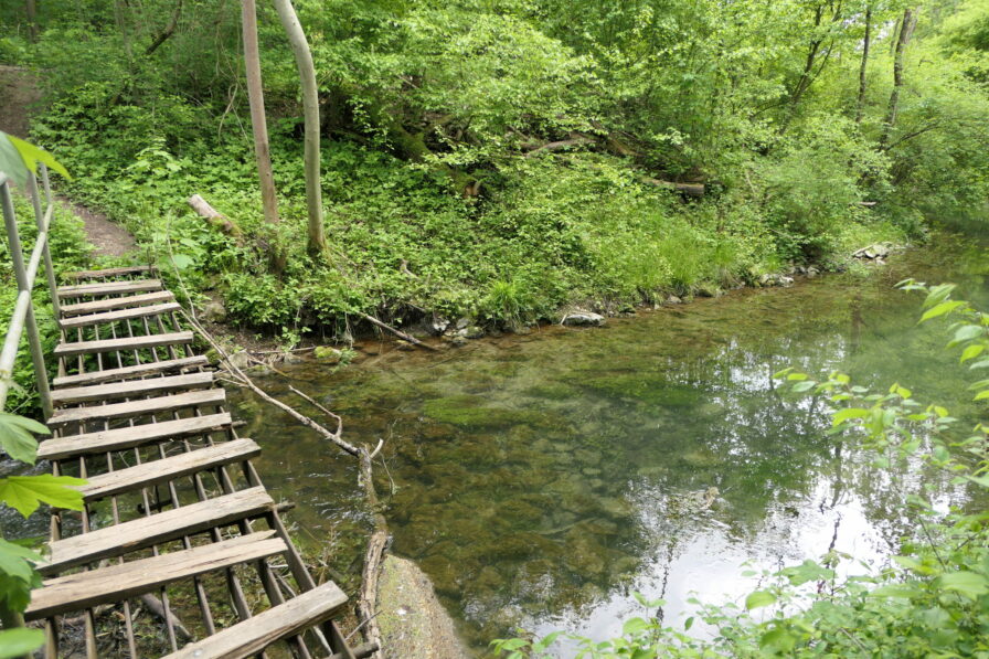 Kleine Brücke über die Aich im Donau-Auwald