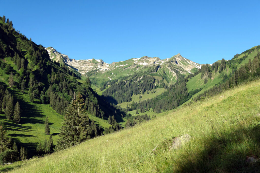 Super Ausblick in die wunderbare Bergkulisse rund um das Obertal von der Engeratsgrund-Alpe