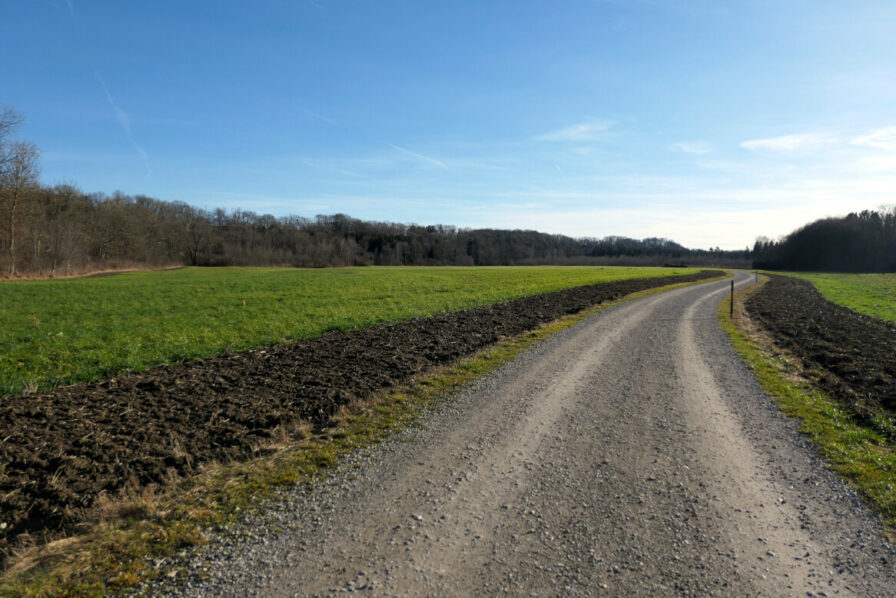 Der Lech-Radweg bei Kaufering führt über Felder und wirkt nahezu ausgestorben