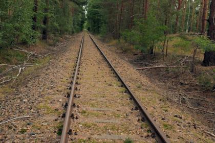 Die Königlich Preußische Militär-Eisenbahn von Zossen nach Jüterbog führt kilometerweit durch Wald, der nicht besucht wird und ideal zum Waldbaden ist