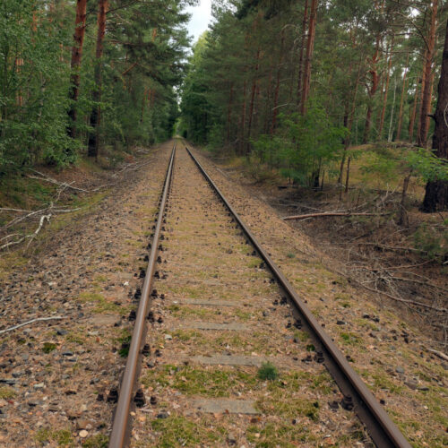 Die Königlich Preußische Militär-Eisenbahn von Zossen nach Jüterbog führt kilometerweit durch Wald, der nicht besucht wird und ideal zum Waldbaden ist