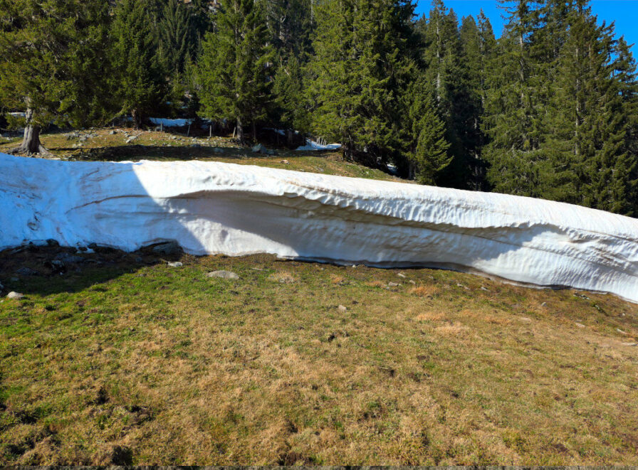 Eine 2m hohe Schneewehe neben dem Weg von der Reuterwanne hinab ins Tal