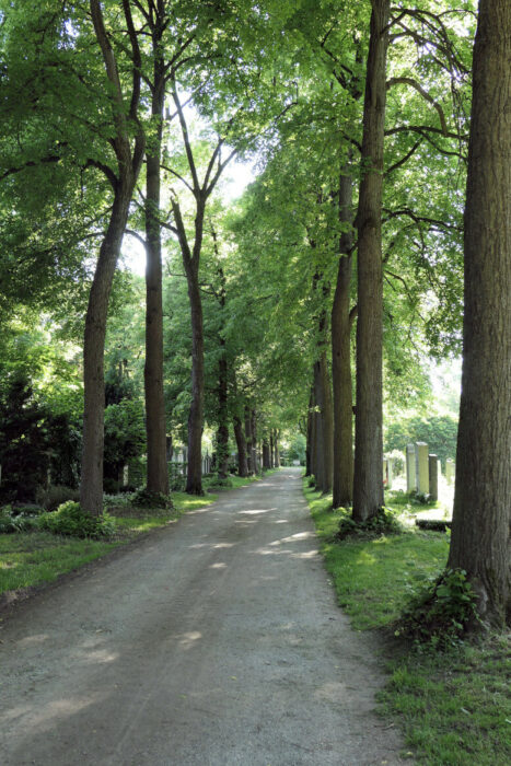 Schöne baumgesäumte Wege führen durch den Münchner Ostfriedhof