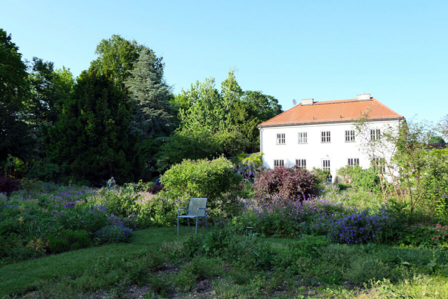 Der eigentliche Rosengarten im Münchner Rosengarten lädt zu verweilen ein