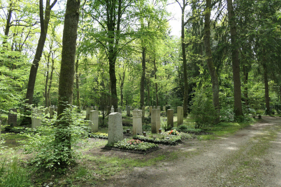 Gräber im Münchner Waldfriedhof zwischen Baumreihen