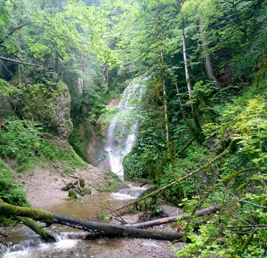 Der große Wasserfall im Falltobel ist ein echtes Highlight