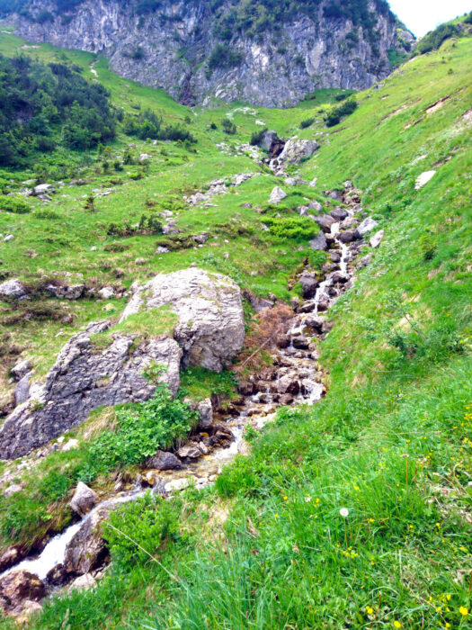 Abstieg vom Gaishorn in Richtung Vilsalpsee begleitet von Bergbächen