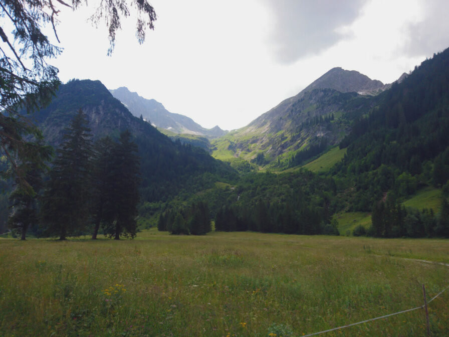 Blick von der Vilsalpe hinauf zum majestätisch über den Wiesen aufragenden Gais- und Rauhhorn