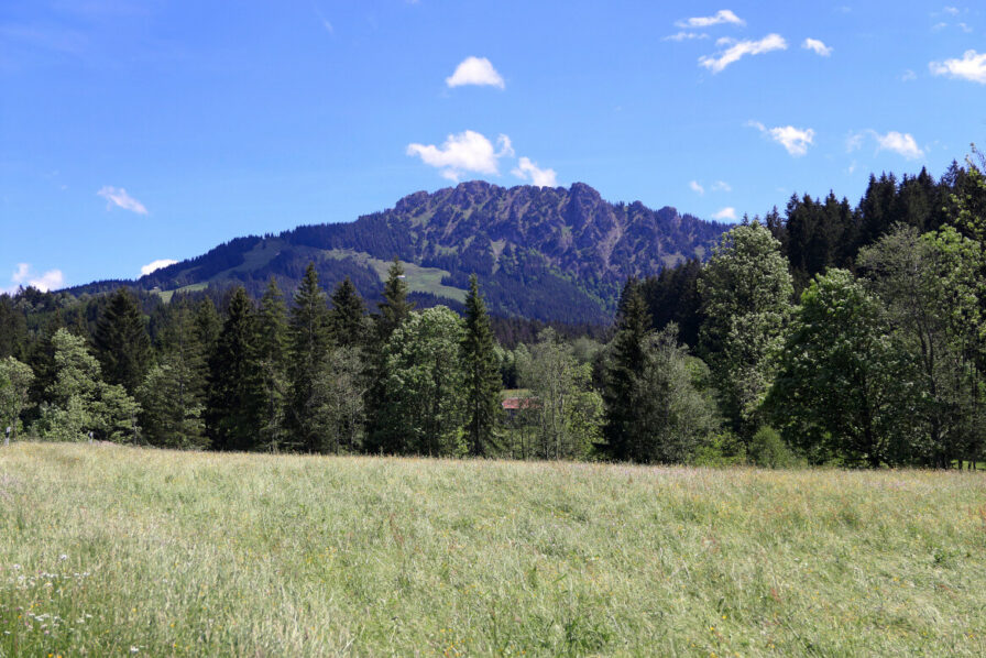 Blick auf den Sorgschrofen vom Sebaldweg unweit der Pfeiffermühle